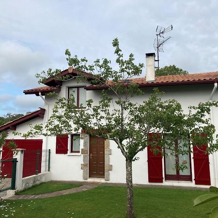 Maison Lore Mendi Elbarron Saint-Pée-sur-Nivelle Dış mekan fotoğraf